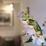 Internazionale Apart Otel Pietrasanta