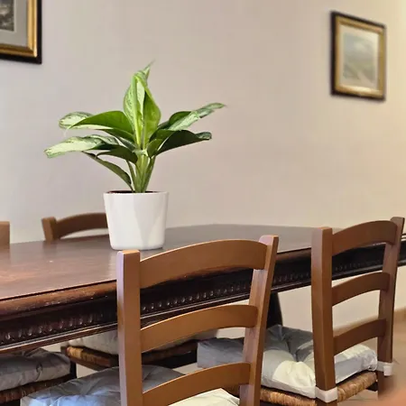 Hotel apartamentowy Internazionale Pietrasanta