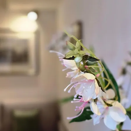 Internazionale Hotel apartamentowy Pietrasanta